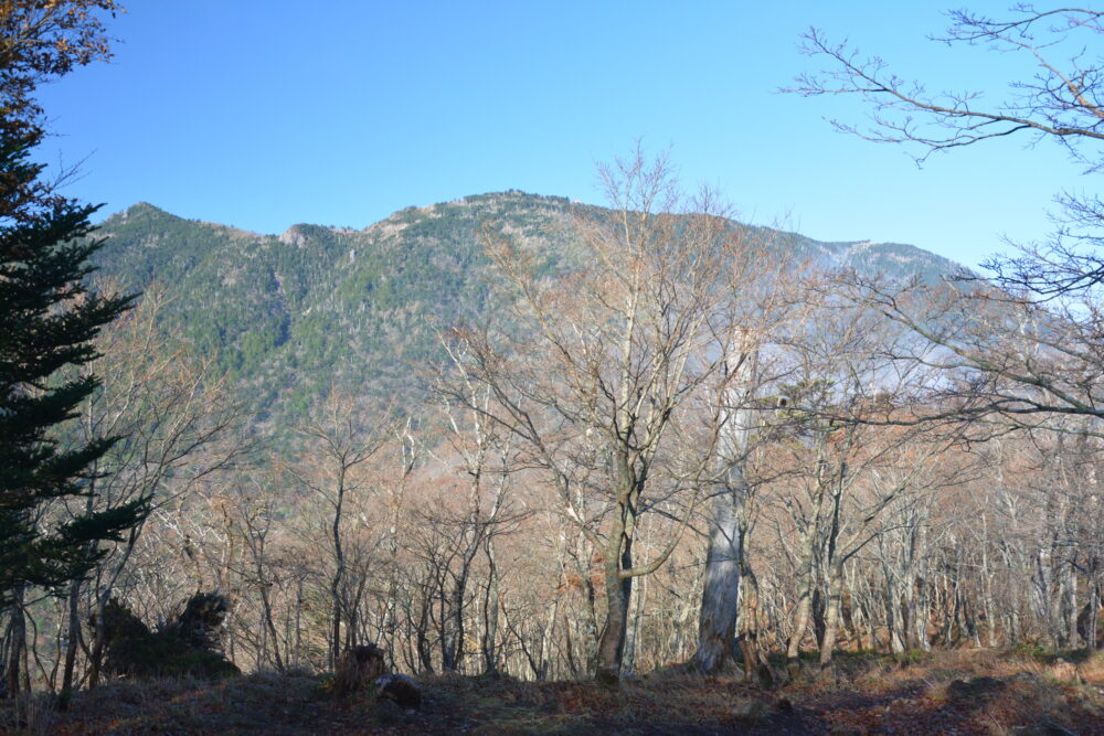 大峰山（弥山・八経ヶ岳）山頂