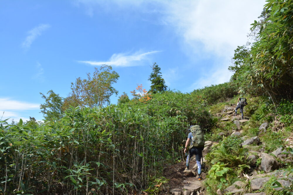 白馬岳の登山道