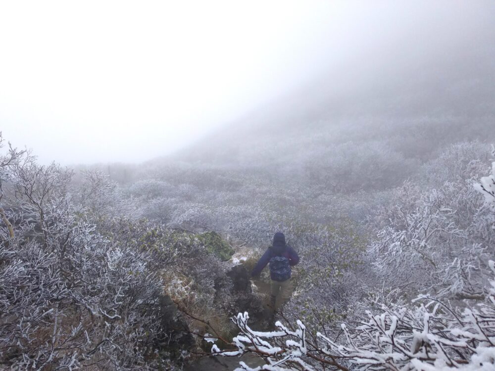 初冬の岩木山の登山道