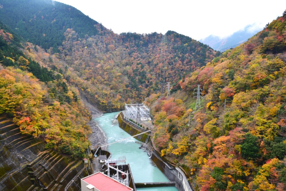 井川ダムの紅葉