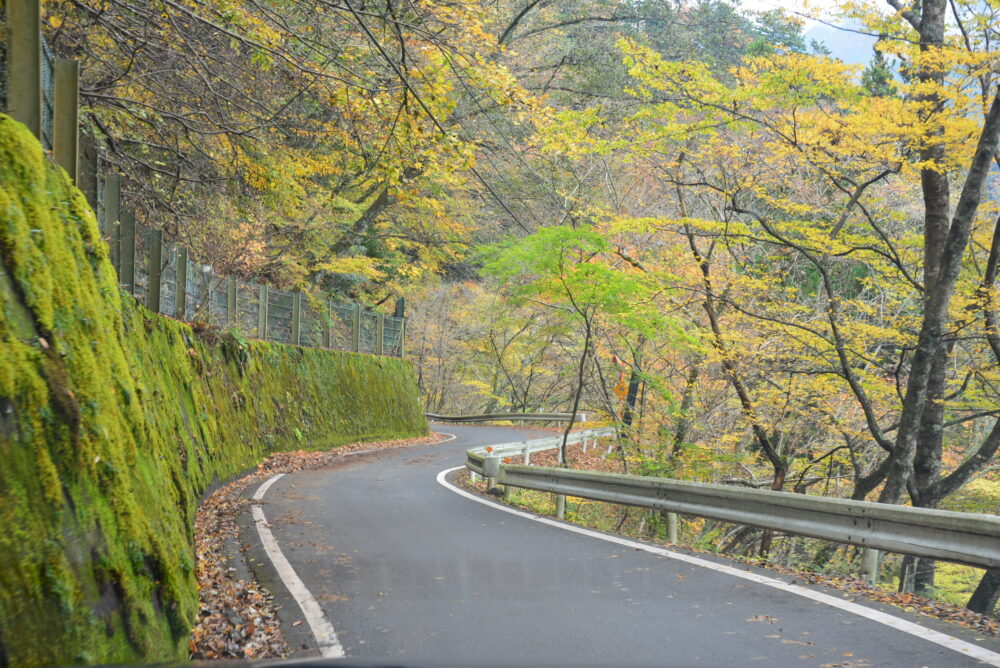 大井川上流の道