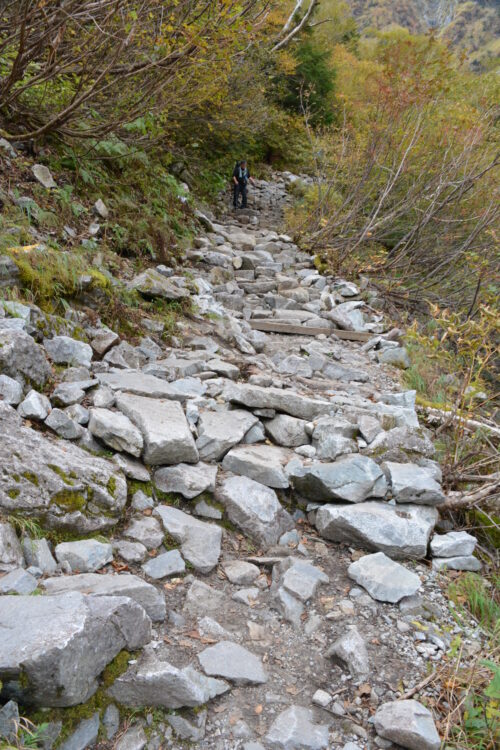 涸沢への登山道