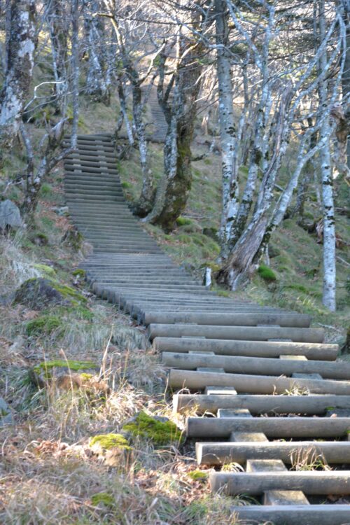 大峰山（弥山・八経ヶ岳）の登山道の階段