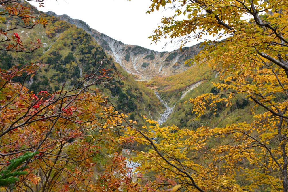 涸沢への登山道から見た紅葉