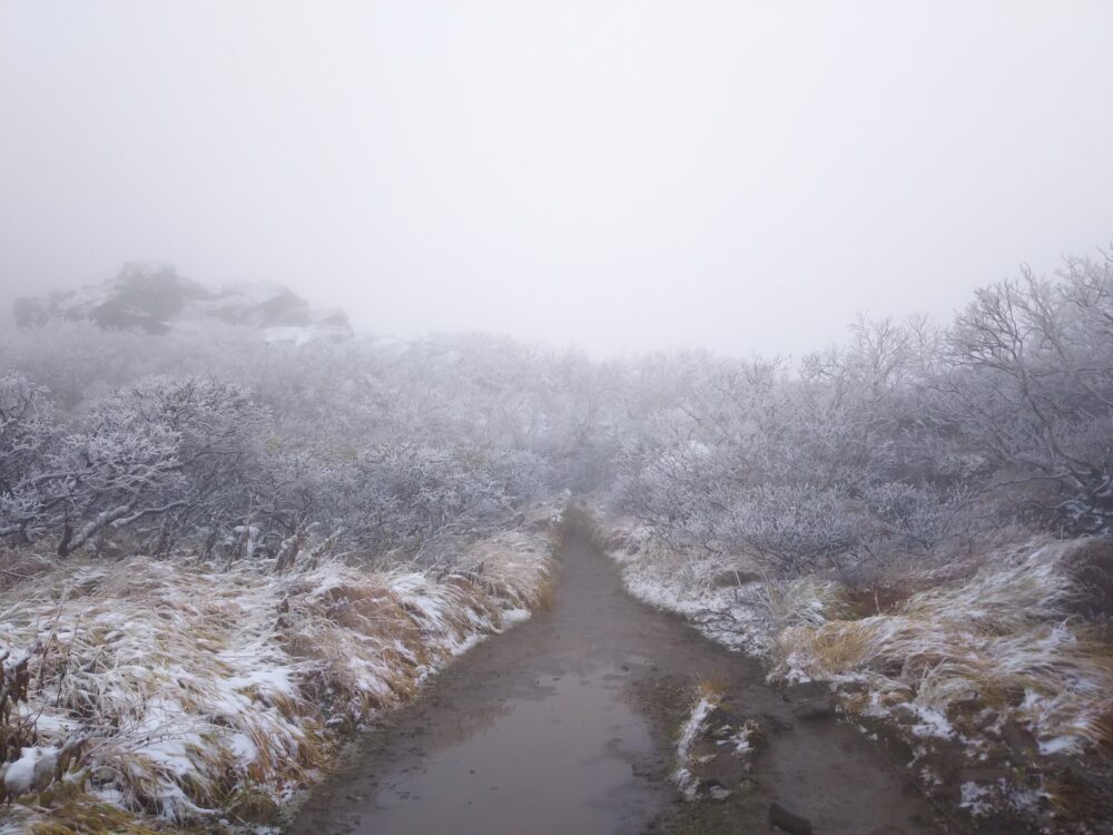 初冬の岩木山の登山道