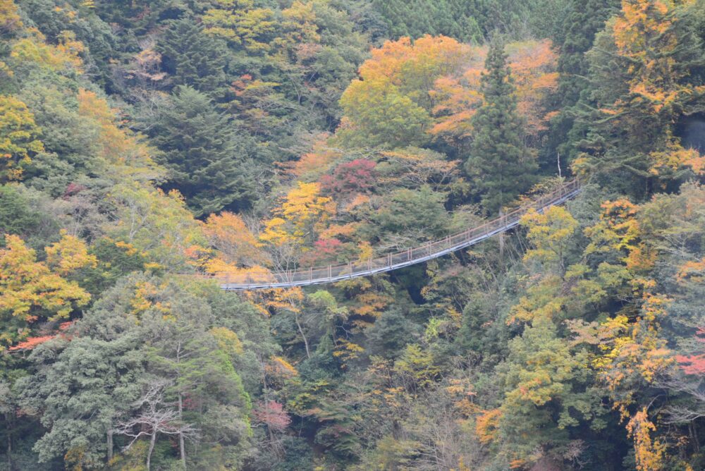 八橋小道（ラブロマンスロード）の宮沢橋