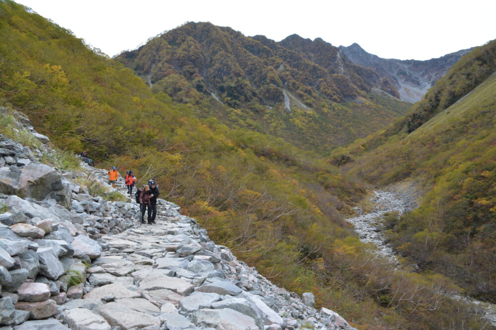 涸沢への登山道