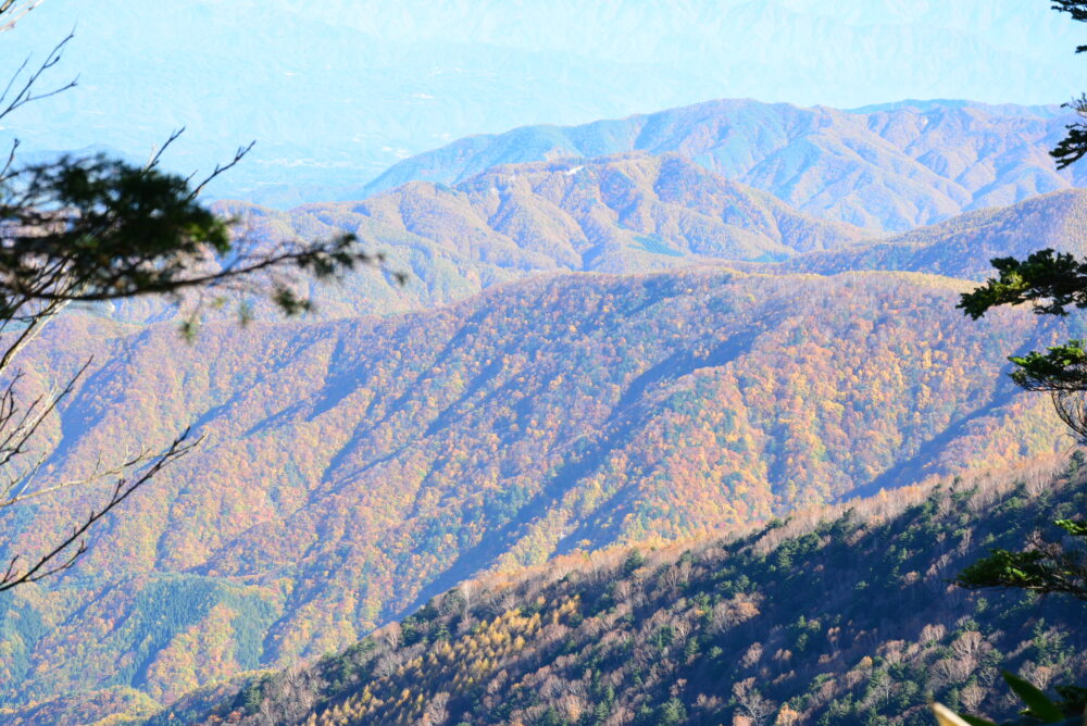 恵那山から眺めた山麓の紅葉