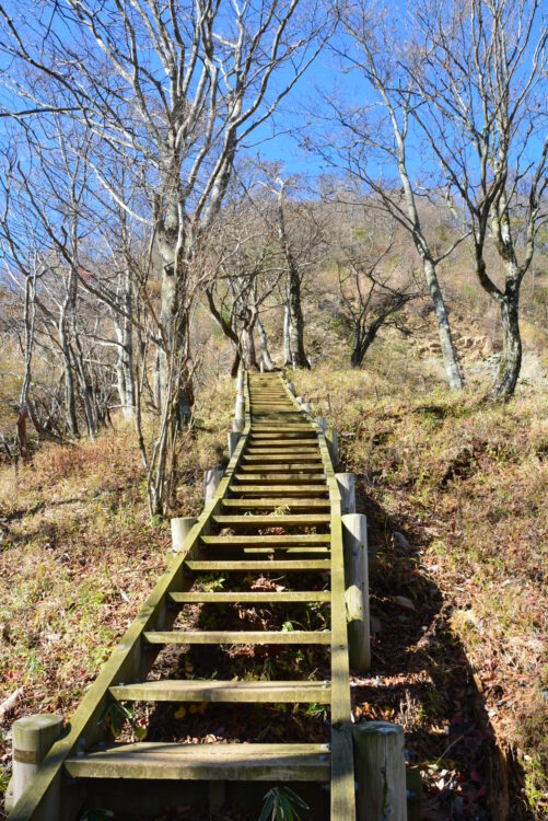 丹沢山・天王寺尾根ルートの階段