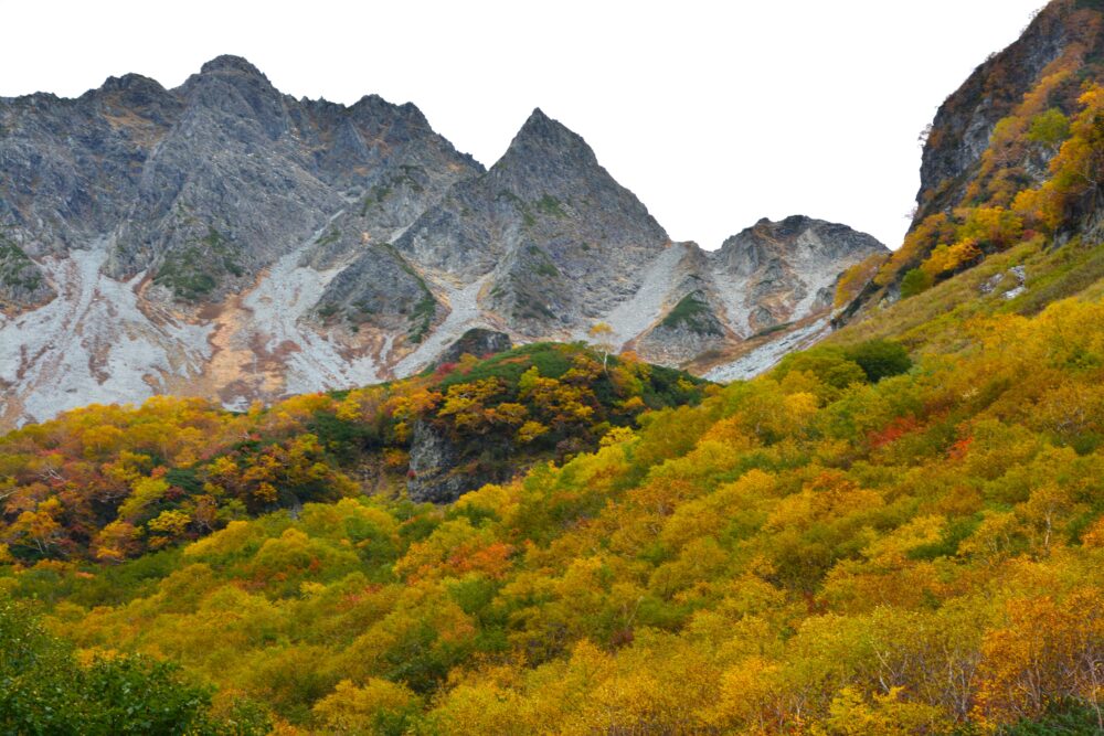 涸沢への登山道から見た紅葉