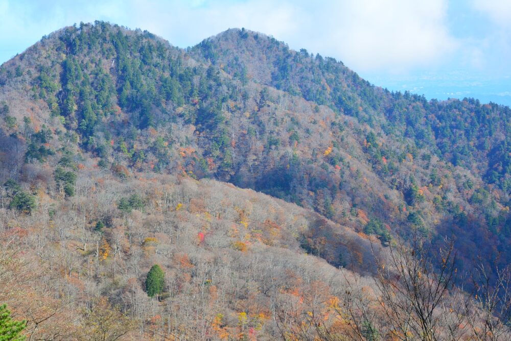 丹沢山の紅葉の山肌