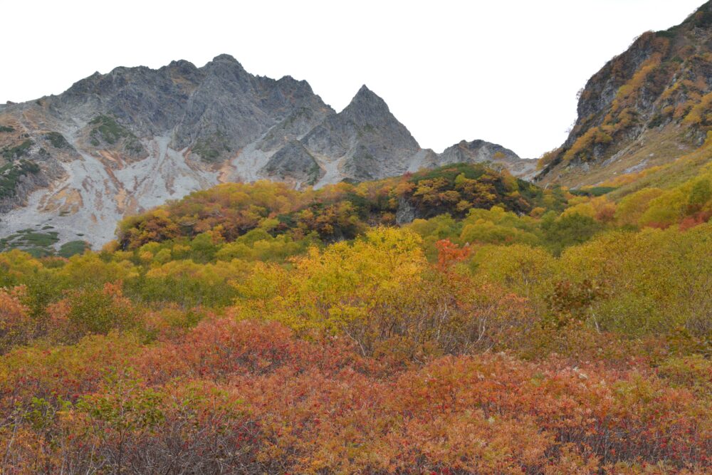 涸沢への登山道から見た紅葉