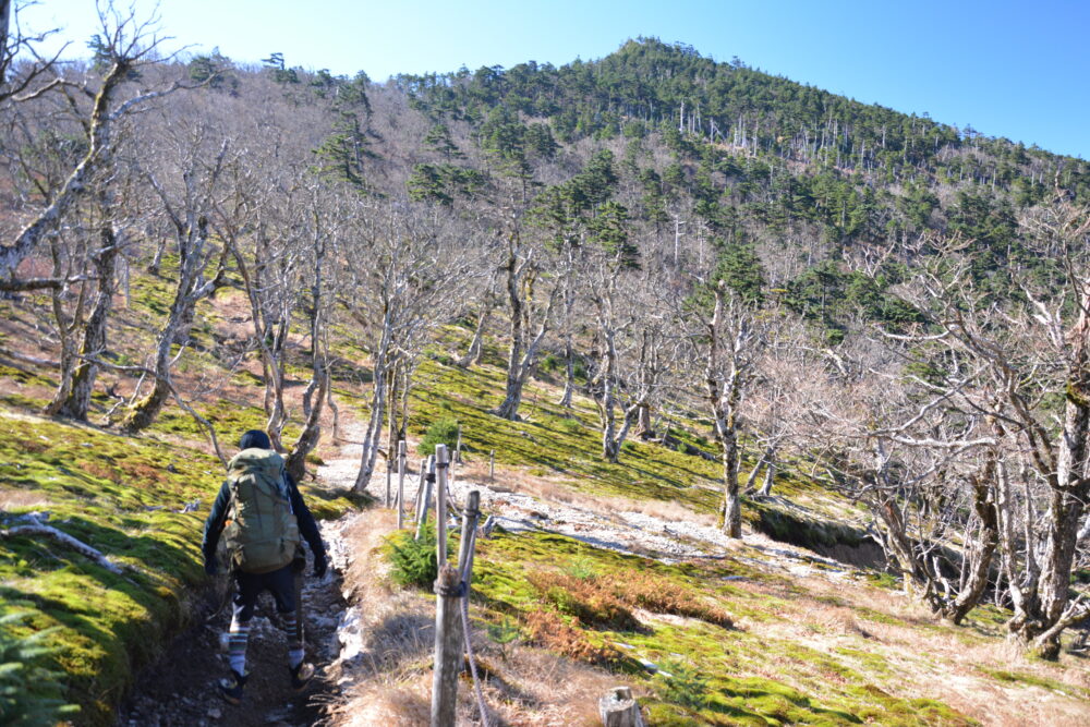 大峰山（弥山・八経ヶ岳）の登山道