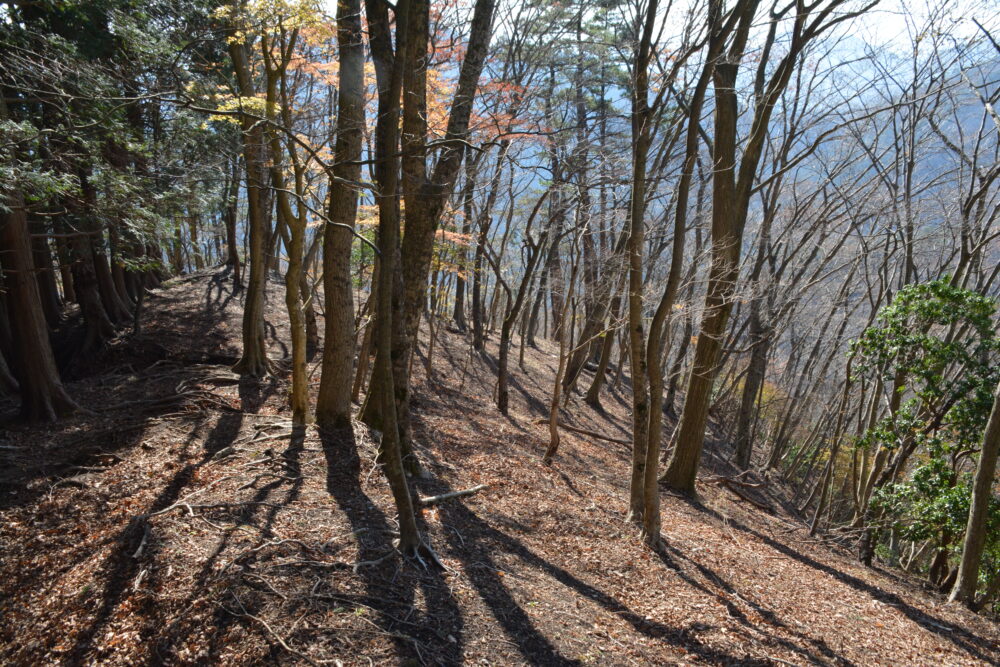 丹沢・鍋割山の小丸尾根