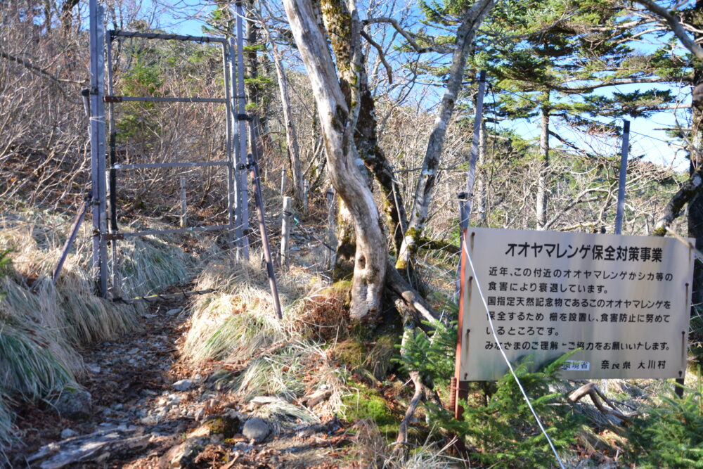 大峰山（弥山・八経ヶ岳）の食害防止の柵