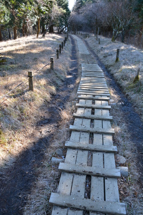 塔ノ岳の登山道（大倉尾根）