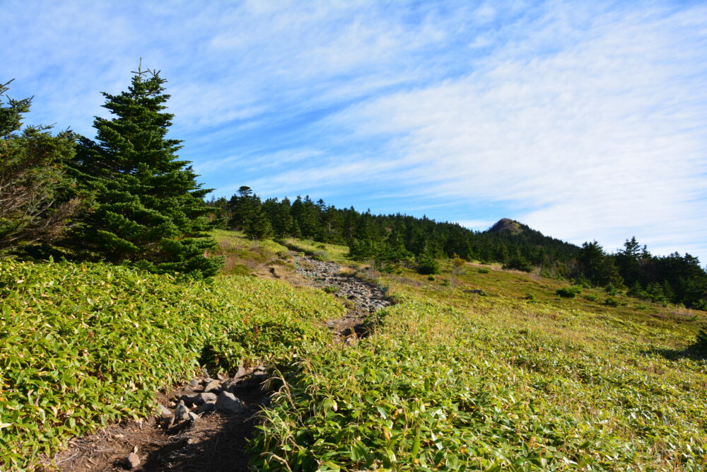 解放感抜群の四阿山の登山道