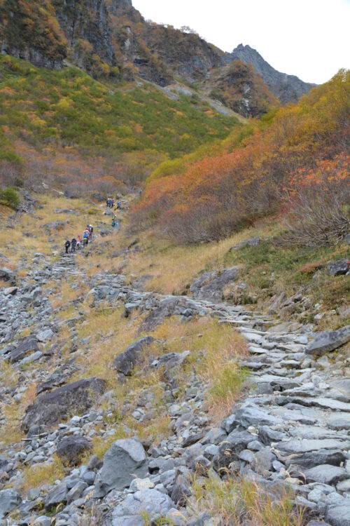 涸沢への登山道