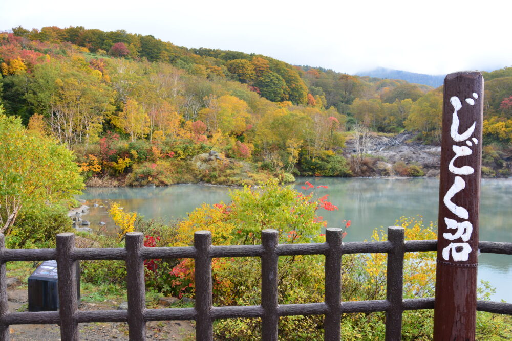 八甲田・じごく沼の紅葉