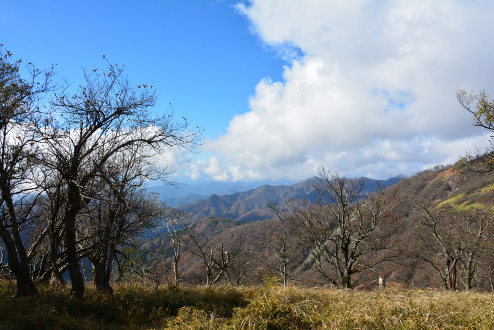 丹沢山山頂からの眺め