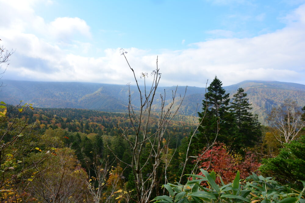 八甲田山の登山道から見た景色