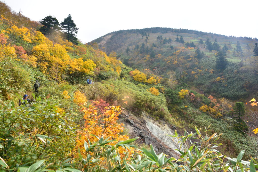 紅葉の八甲田山