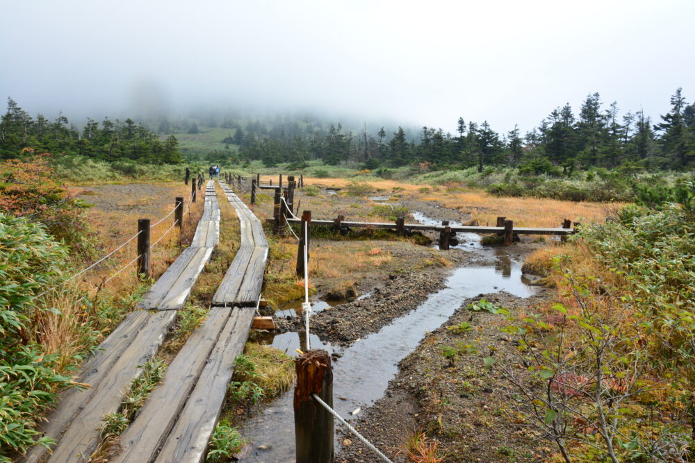 八甲田山の木道