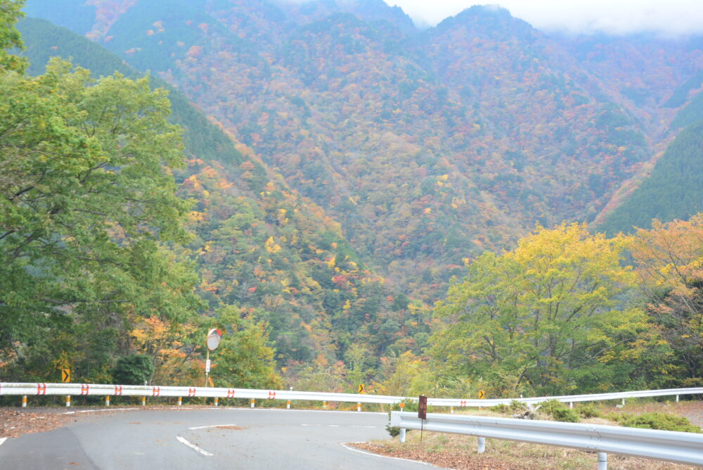 静岡の山奥の紅葉と道