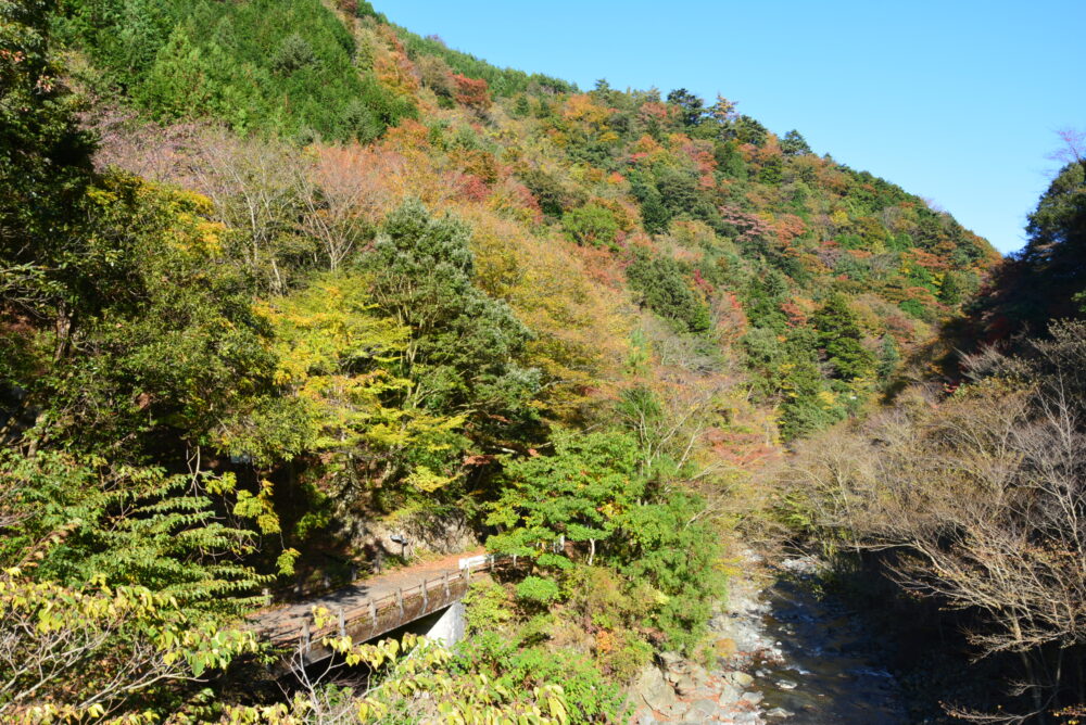 丹沢山の天王寺橋からの眺め