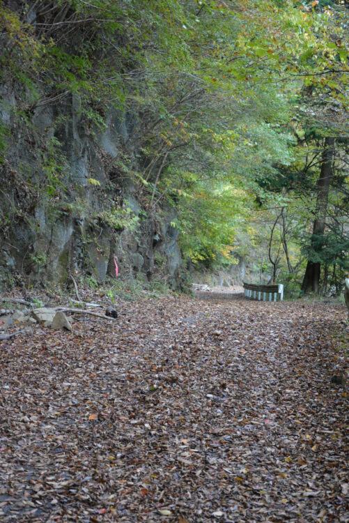 丹沢山の登山道