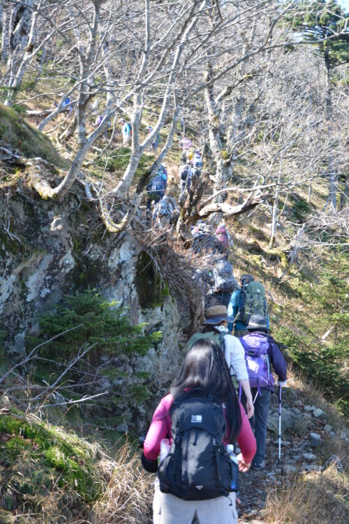 弥山登山道を歩く登山者たち