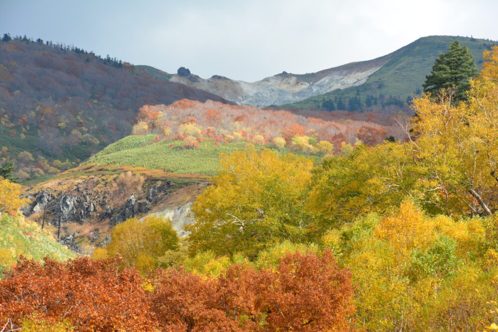 国道341号線（玉川温泉付近）の紅葉