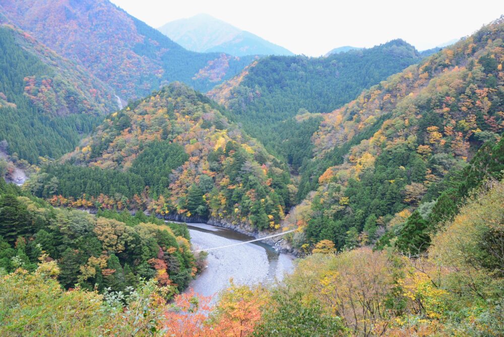 寸又峡の紅葉と吊り橋