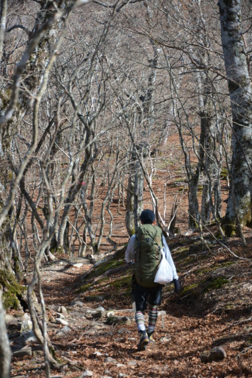 弥山の登山道を歩く登山者