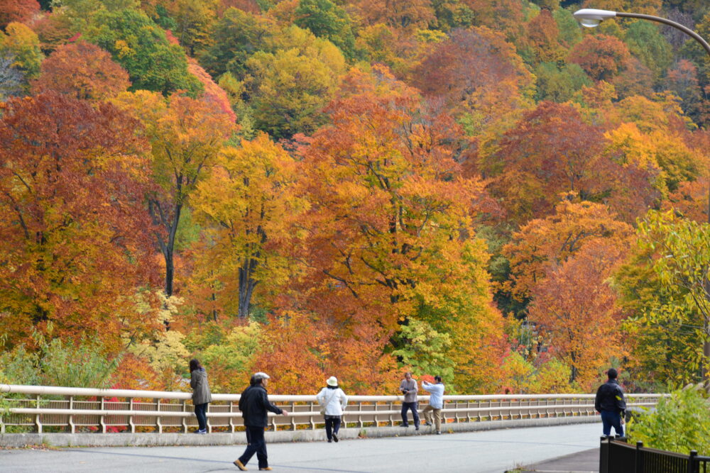 国道341号線（玉川温泉付近）の紅葉