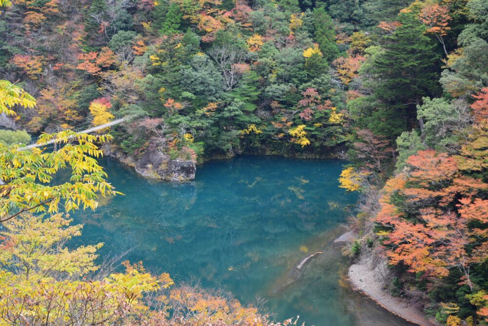 紅葉の寸又峡の夢の吊り橋