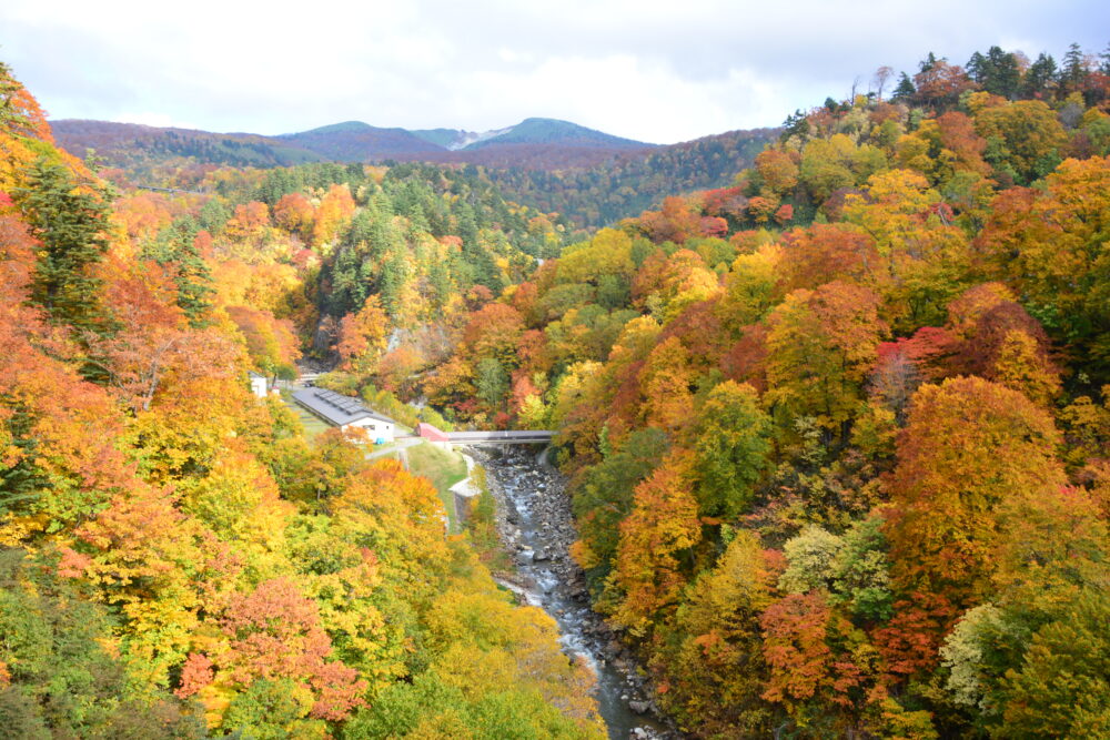 国道341号線（玉川温泉付近）の紅葉