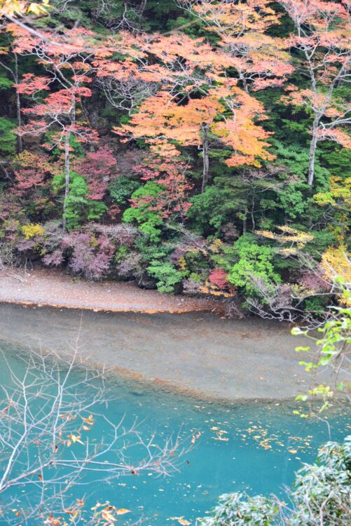 紅葉の寸又峡のチンダル湖