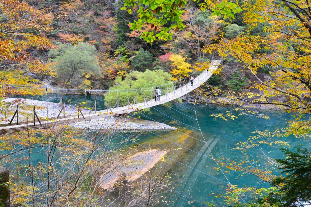 紅葉の寸又峡の夢の吊り橋