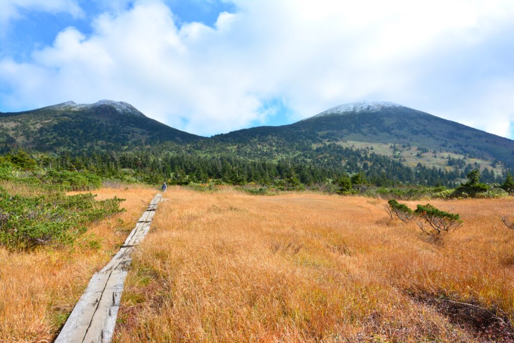 八甲田山・上毛無岱の草紅葉と大岳