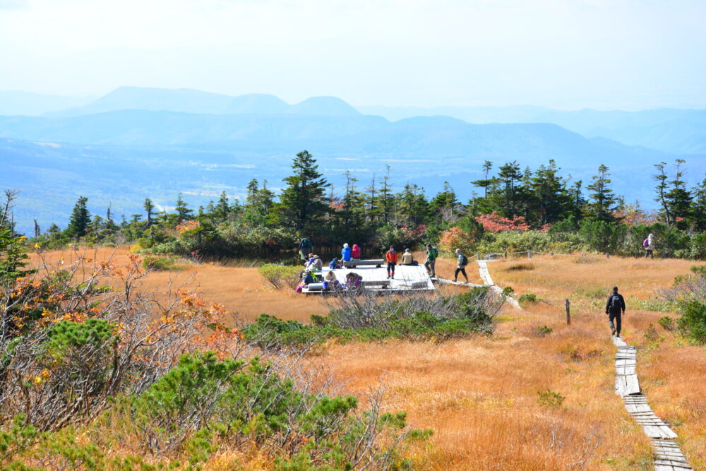 八甲田山・上毛無岱の草紅葉と休憩ポイント