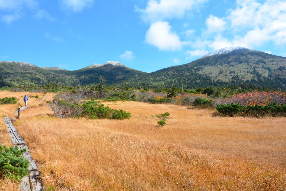 八甲田山・上毛無岱の草紅葉と木道と大岳