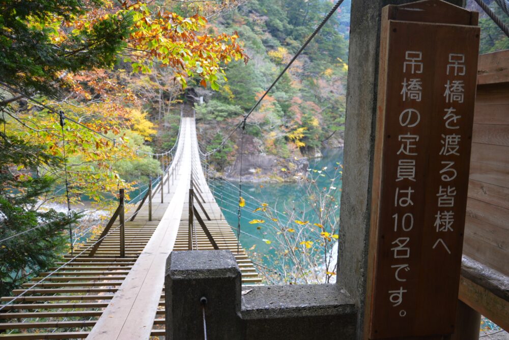 紅葉の寸又峡の夢の吊り橋