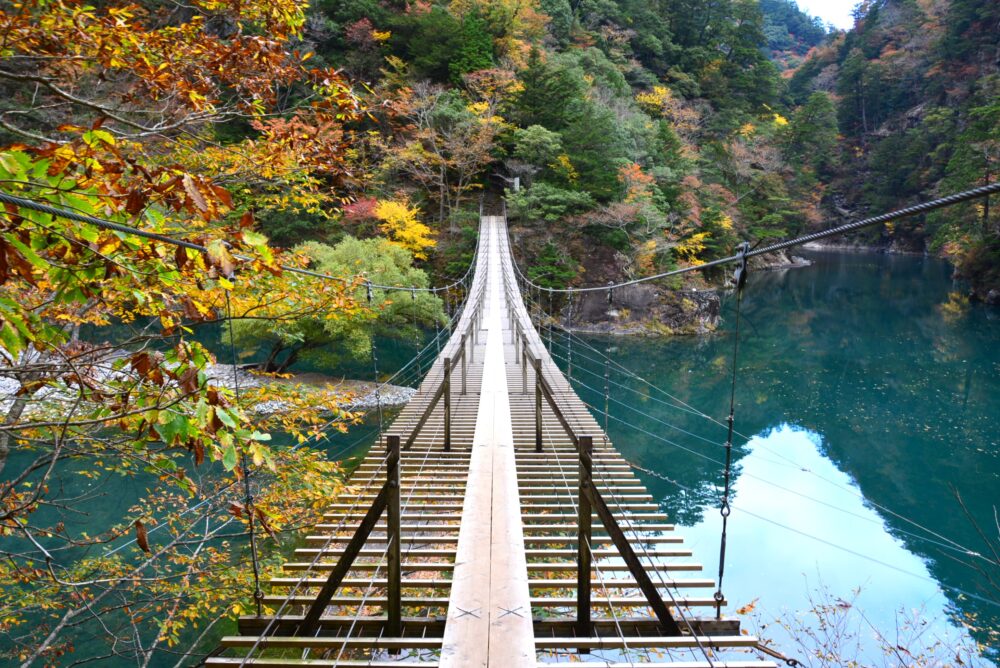 紅葉の寸又峡の夢の吊り橋