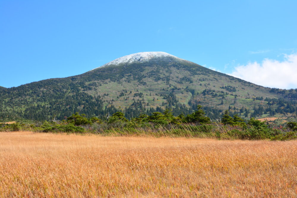 八甲田山の草紅葉と大岳山頂