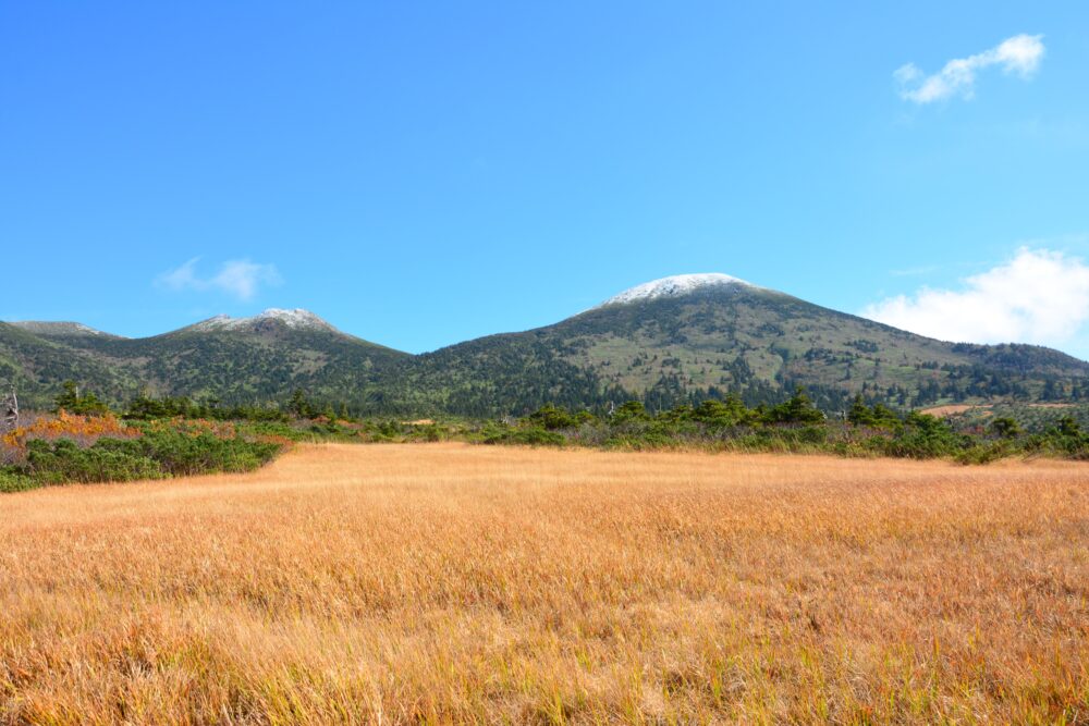 八甲田山の草紅葉と大岳山頂