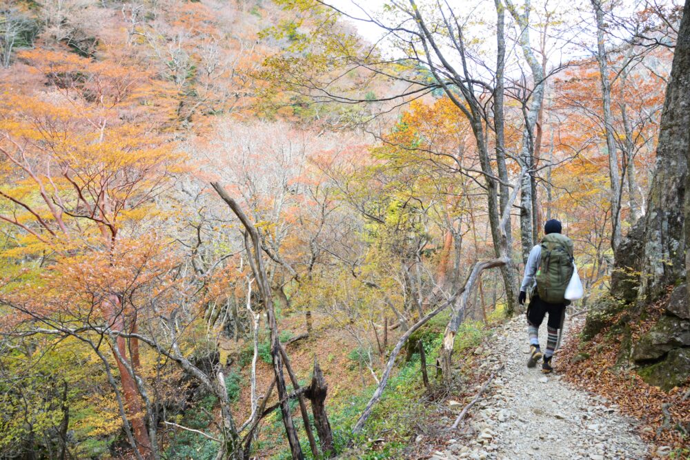 弥山の紅葉