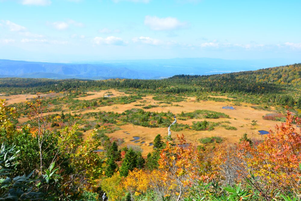 八甲田山・下毛無岱の紅葉