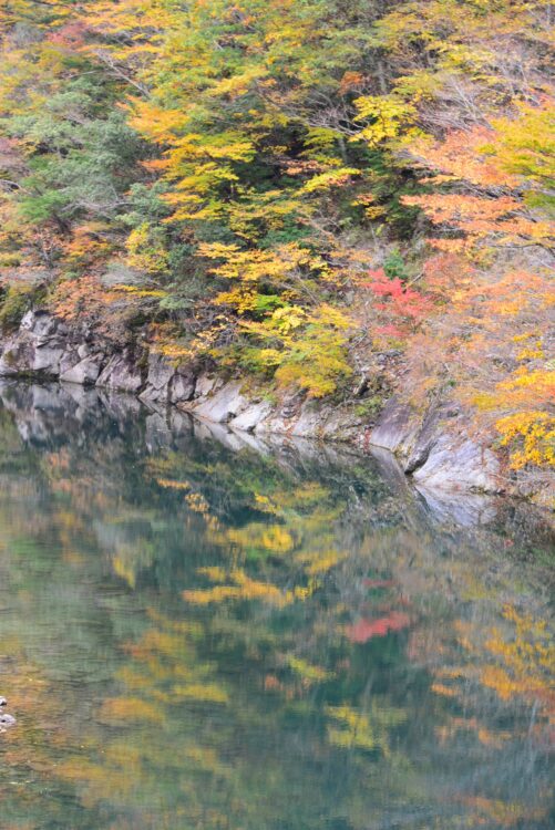 紅葉の寸又峡の夢の吊り橋から見た湖面