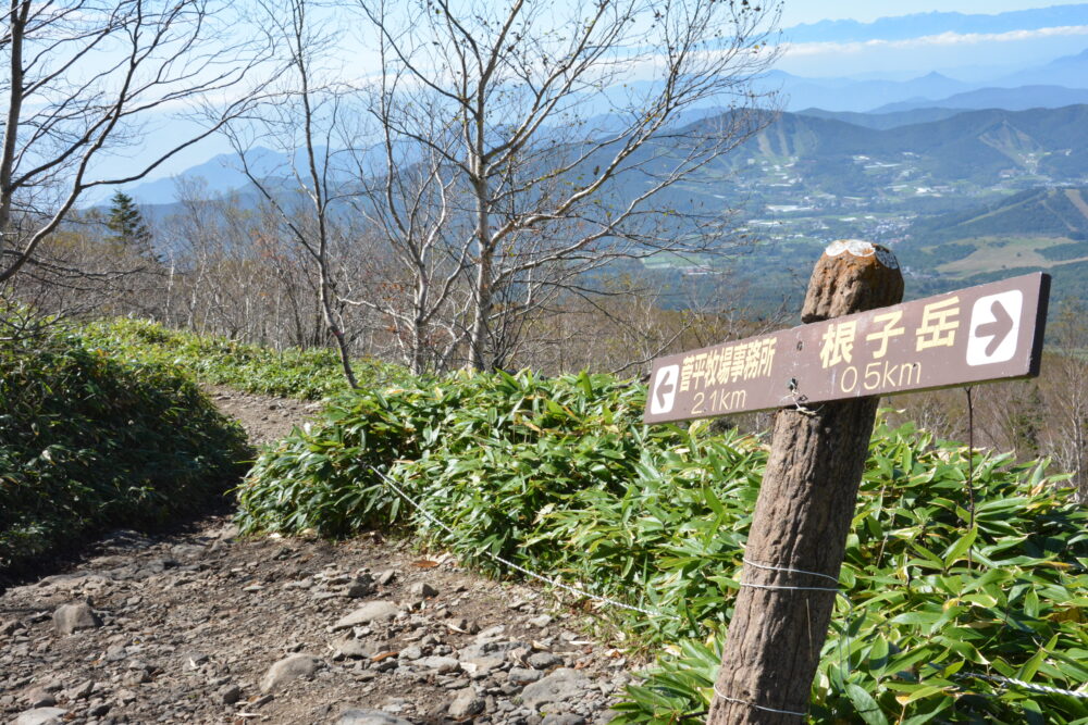 根子岳の登山道